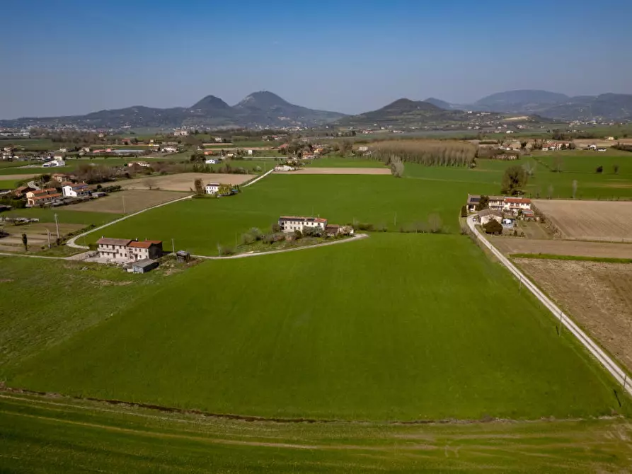 Immagine 6 di Terreno in vendita  in via Granzette a Monselice