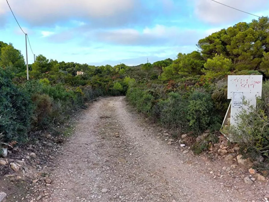 Immagine 1 di Terreno in vendita  in Località Gianchini, N. snc a Carloforte