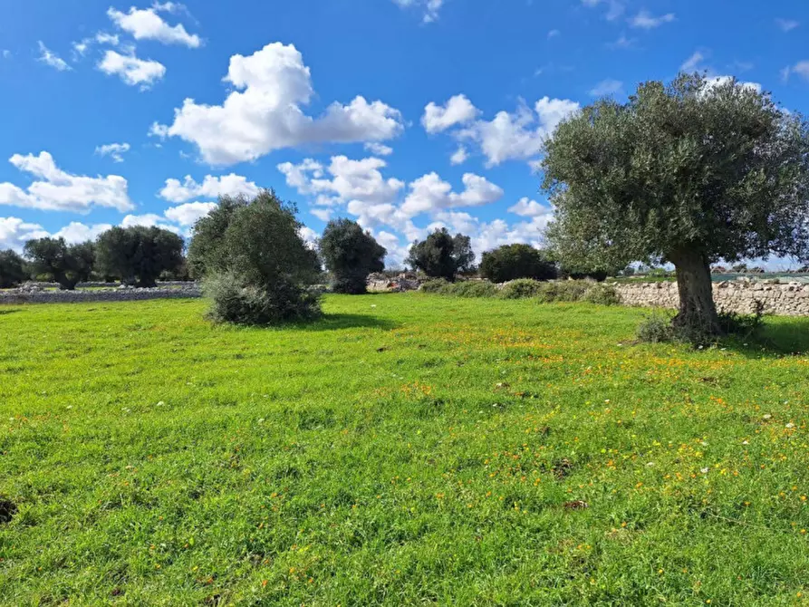 Immagine 2 di Cantina in vendita  in Via Antonio Gramsci, N. 50 a Foligno