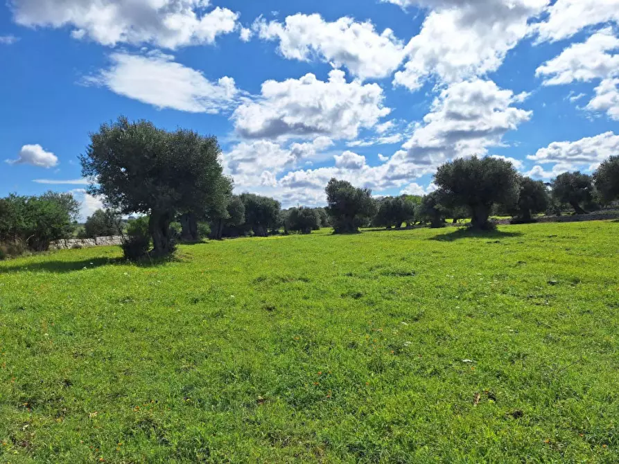 Immagine 3 di Cantina in vendita  in Via Antonio Gramsci, N. 50 a Foligno