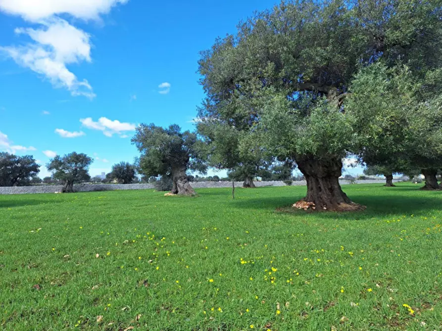 Immagine 7 di Cantina in vendita  in Via Antonio Gramsci, N. 50 a Foligno