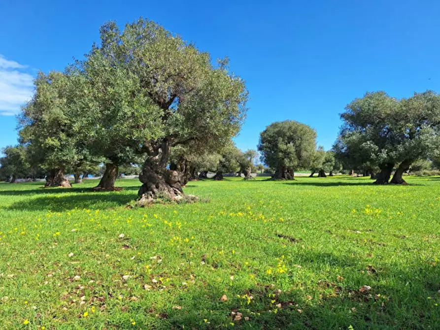 Immagine 8 di Cantina in vendita  in Via Antonio Gramsci, N. 50 a Foligno