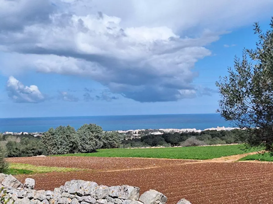 Immagine 9 di Cantina in vendita  in Via Antonio Gramsci, N. 50 a Foligno