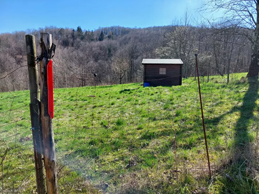 Immagine 2 di Villetta a schiera in vendita  a Valli Del Pasubio