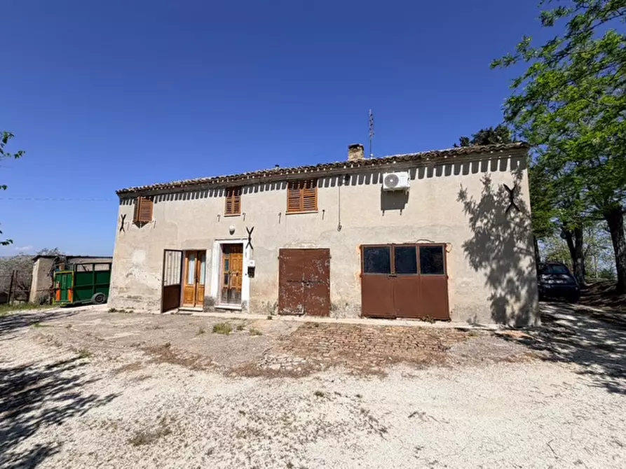 Immagine 4 di Rustico / casale in vendita  a Trecastelli