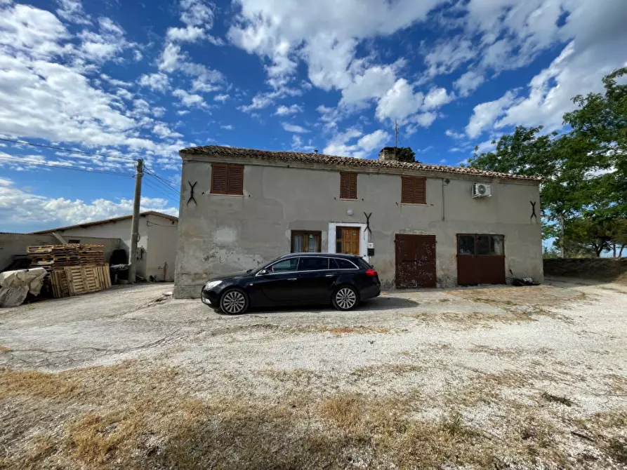 Immagine 5 di Rustico / casale in vendita  a Trecastelli