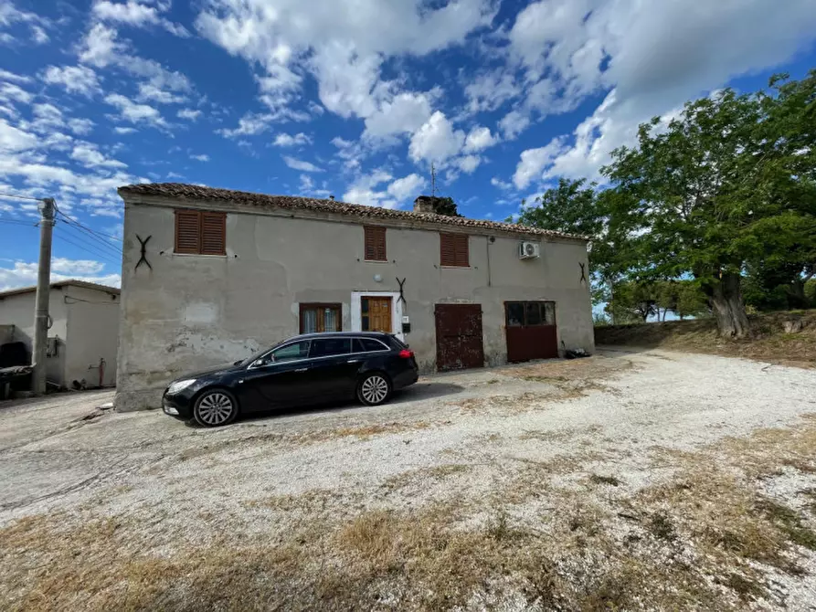 Immagine 6 di Rustico / casale in vendita  a Trecastelli