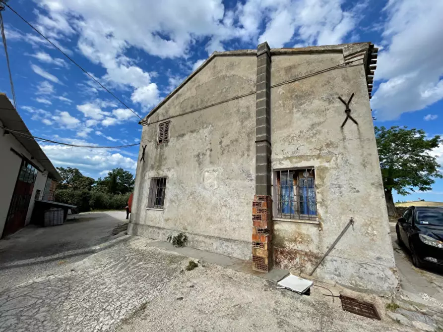 Immagine 7 di Rustico / casale in vendita  a Trecastelli