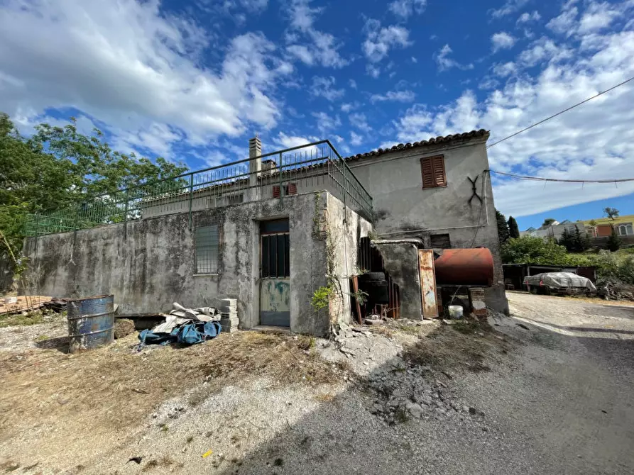 Immagine 8 di Rustico / casale in vendita  a Trecastelli
