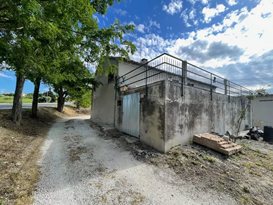 Immagine 9 di Rustico / casale in vendita  a Trecastelli