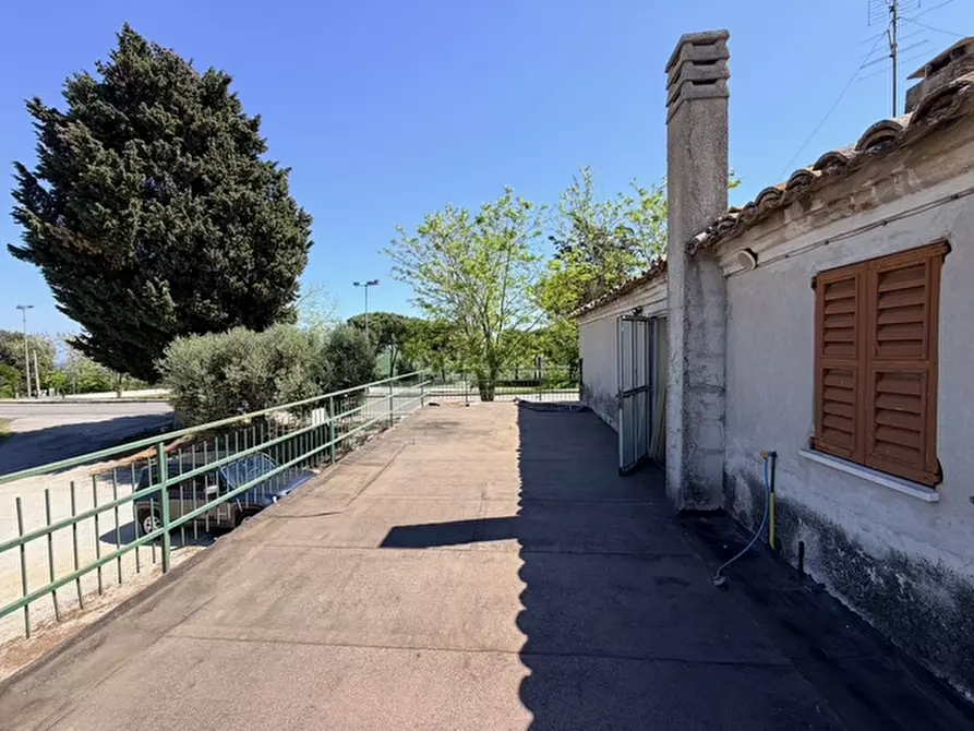 Immagine 23 di Rustico / casale in vendita  a Trecastelli