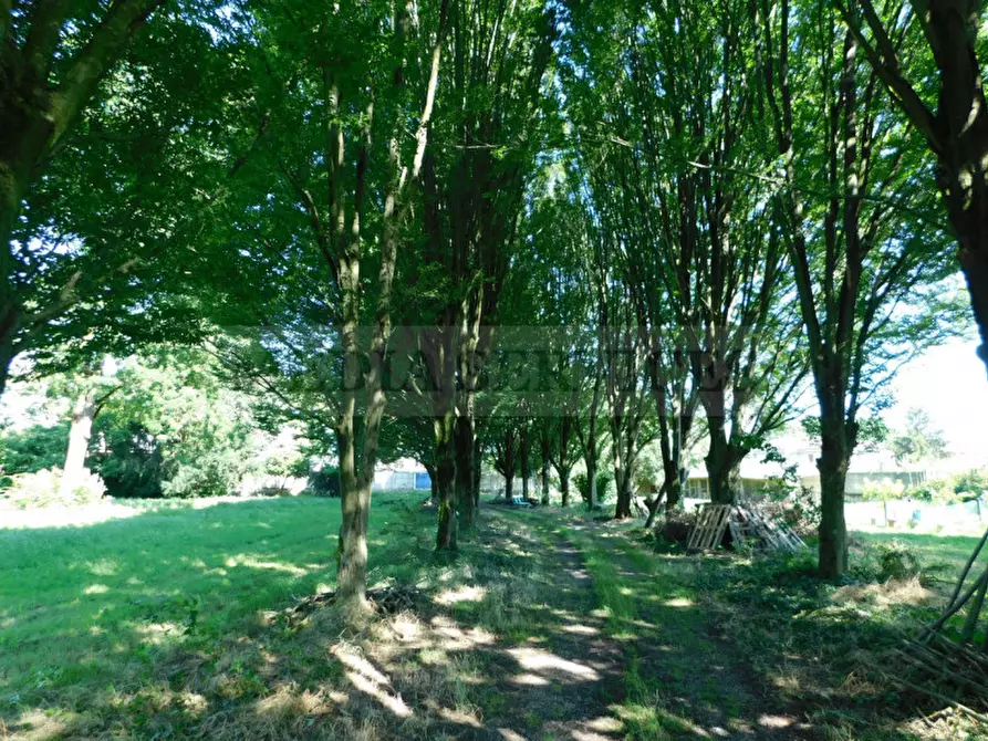 Immagine 23 di Villa in vendita  in via Galileo Galilei n° 17 a Sannazzaro De' Burgondi