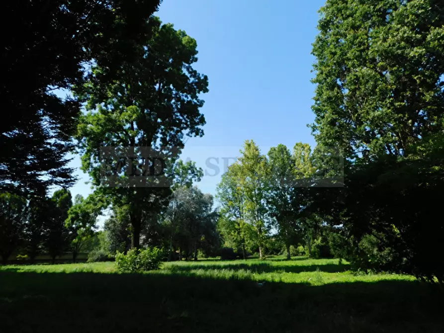 Immagine 24 di Villa in vendita  in via Galileo Galilei n° 17 a Sannazzaro De' Burgondi