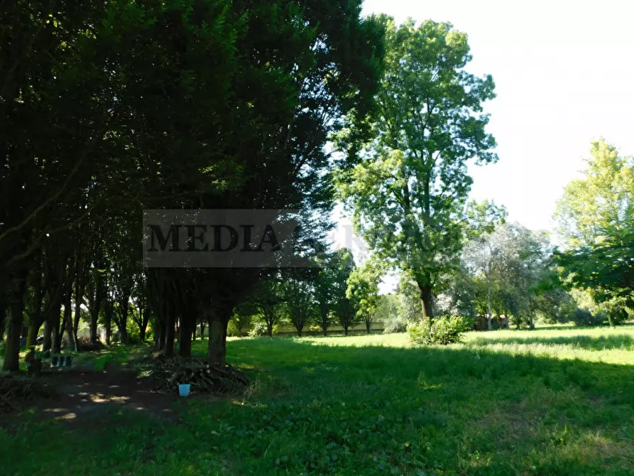 Immagine 25 di Villa in vendita  in via Galileo Galilei n° 17 a Sannazzaro De' Burgondi