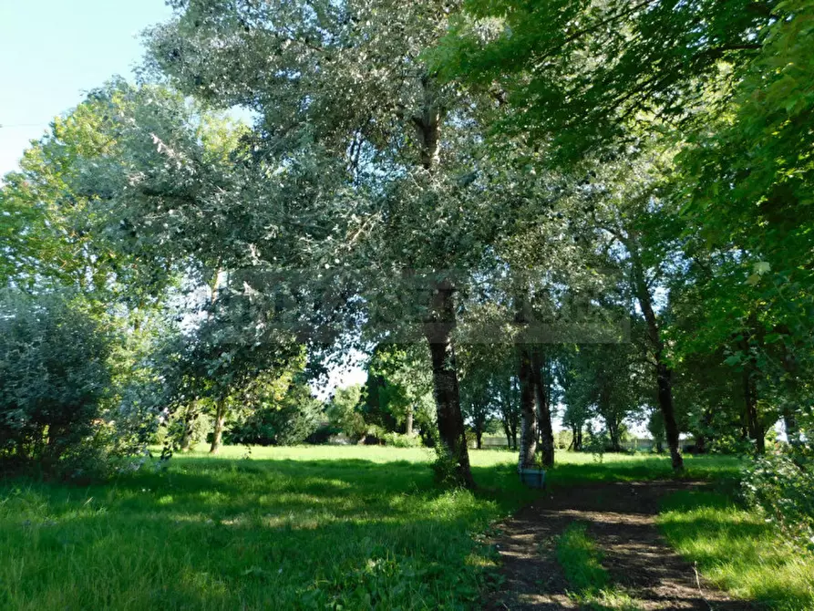 Immagine 26 di Villa in vendita  in via Galileo Galilei n° 17 a Sannazzaro De' Burgondi