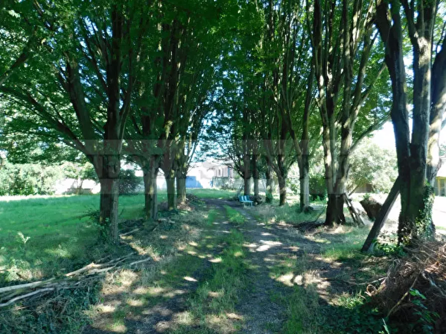 Immagine 28 di Villa in vendita  in via Galileo Galilei n° 17 a Sannazzaro De' Burgondi