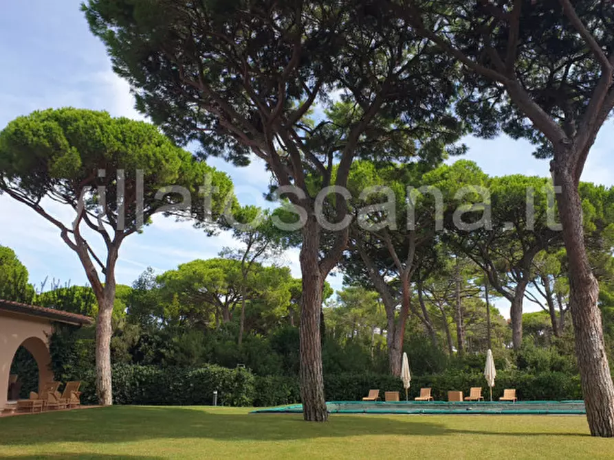 Immagine 1 di Villa in vendita  in Villa in località Pineta di Roccamare a Castiglione Della Pescaia