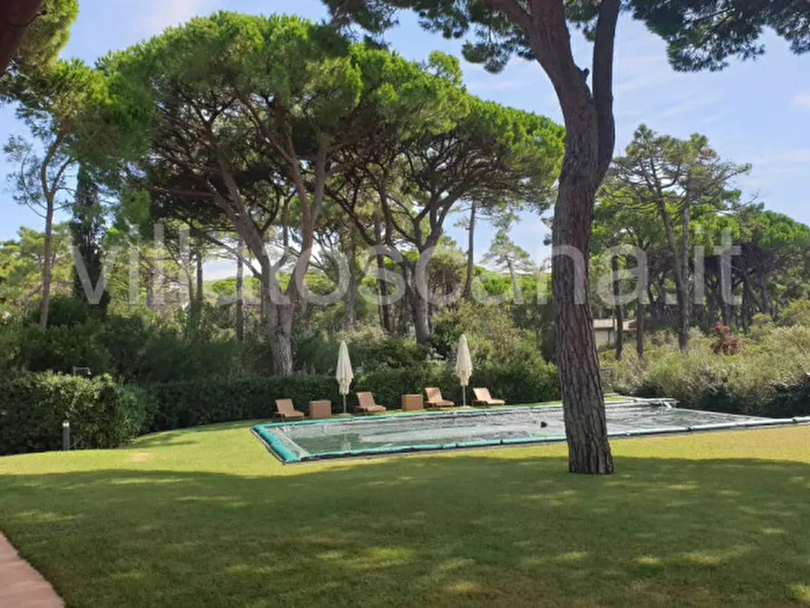 Immagine 3 di Villa in vendita  in Villa in località Pineta di Roccamare a Castiglione Della Pescaia