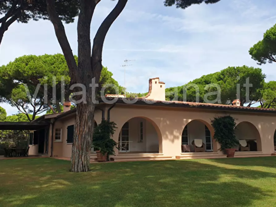 Immagine 5 di Villa in vendita  in Villa in località Pineta di Roccamare a Castiglione Della Pescaia