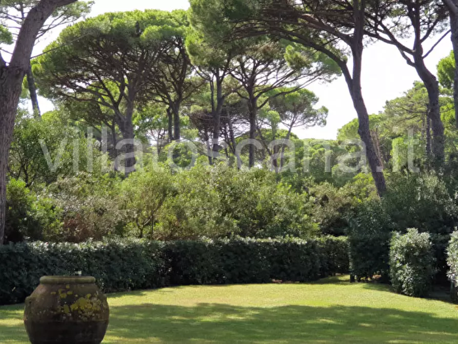 Immagine 6 di Villa in vendita  in Villa in località Pineta di Roccamare a Castiglione Della Pescaia