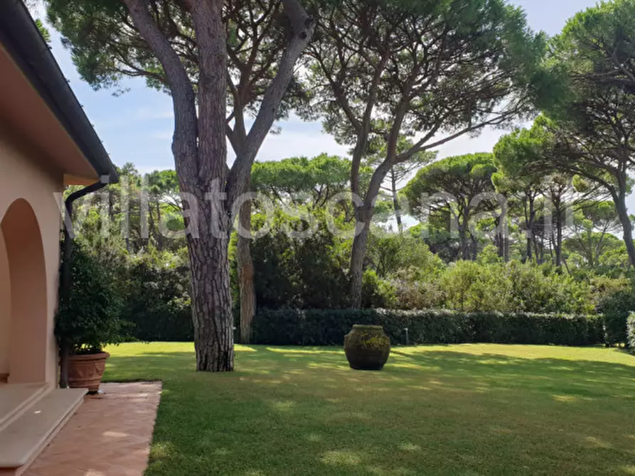 Immagine 7 di Villa in vendita  in Villa in località Pineta di Roccamare a Castiglione Della Pescaia