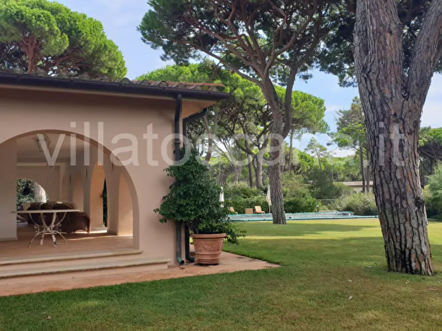 Immagine 8 di Villa in vendita  in Villa in località Pineta di Roccamare a Castiglione Della Pescaia