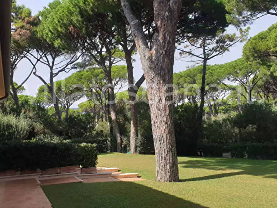 Immagine 18 di Villa in vendita  in Villa in località Pineta di Roccamare a Castiglione Della Pescaia
