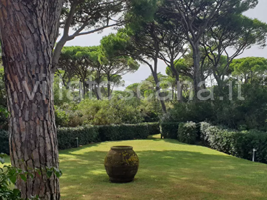 Immagine 20 di Villa in vendita  in Villa in località Pineta di Roccamare a Castiglione Della Pescaia