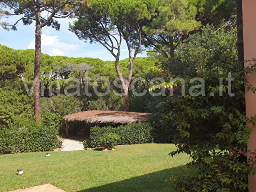 Immagine 21 di Villa in vendita  in Villa in località Pineta di Roccamare a Castiglione Della Pescaia
