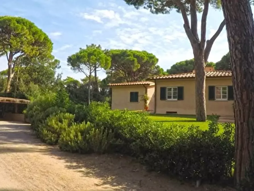 Immagine 22 di Villa in vendita  in Villa in località Pineta di Roccamare a Castiglione Della Pescaia