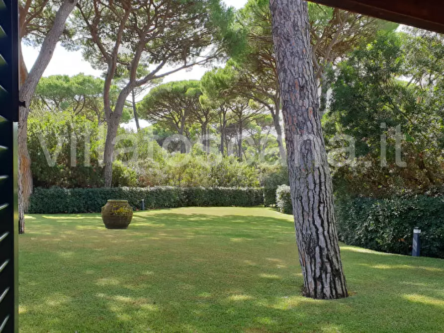 Immagine 55 di Villa in vendita  in Villa in località Pineta di Roccamare a Castiglione Della Pescaia