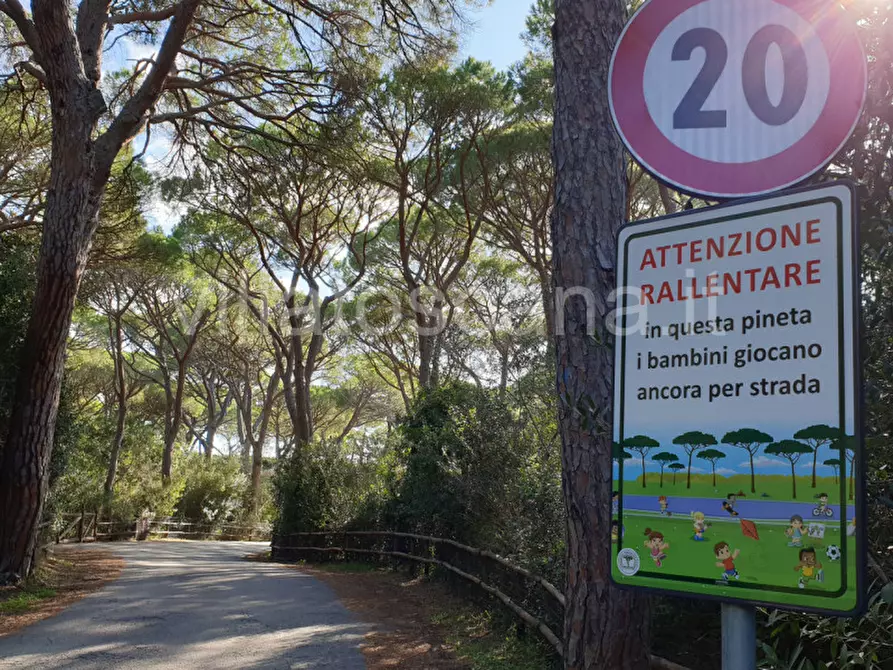 Immagine 67 di Villa in vendita  in Villa in località Pineta di Roccamare a Castiglione Della Pescaia