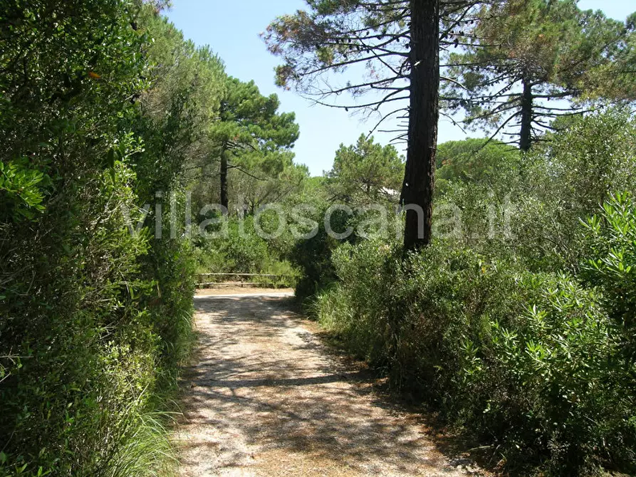 Immagine 68 di Villa in vendita  in Villa in località Pineta di Roccamare a Castiglione Della Pescaia
