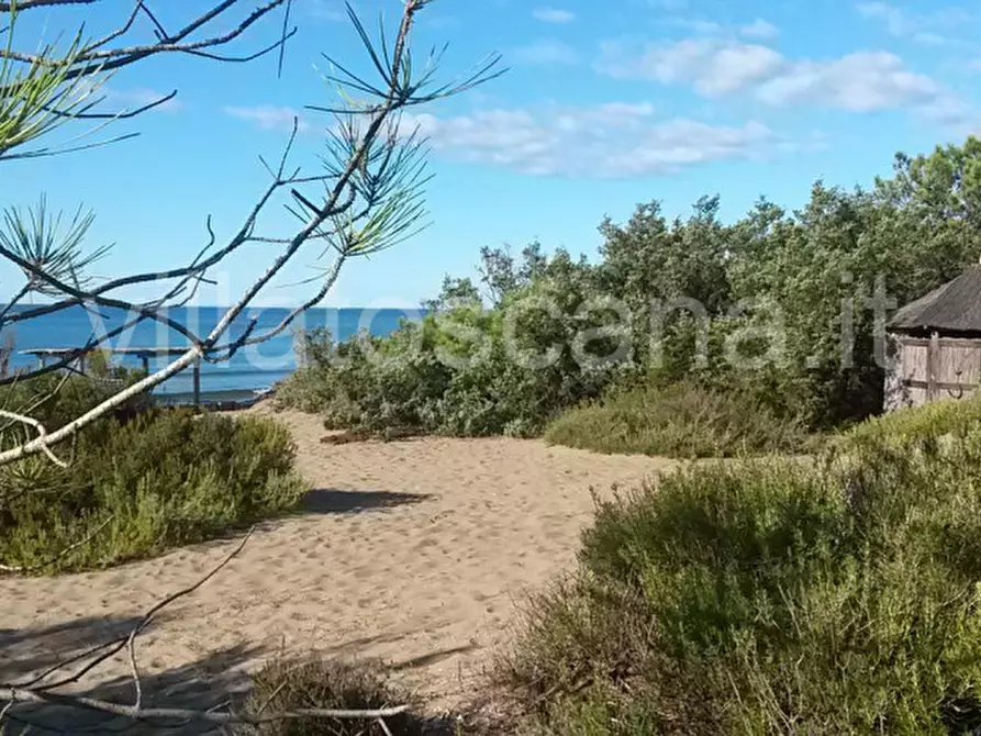 Immagine 69 di Villa in vendita  in Villa in località Pineta di Roccamare a Castiglione Della Pescaia