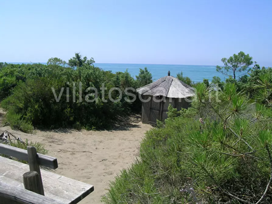 Immagine 71 di Villa in vendita  in Villa in località Pineta di Roccamare a Castiglione Della Pescaia