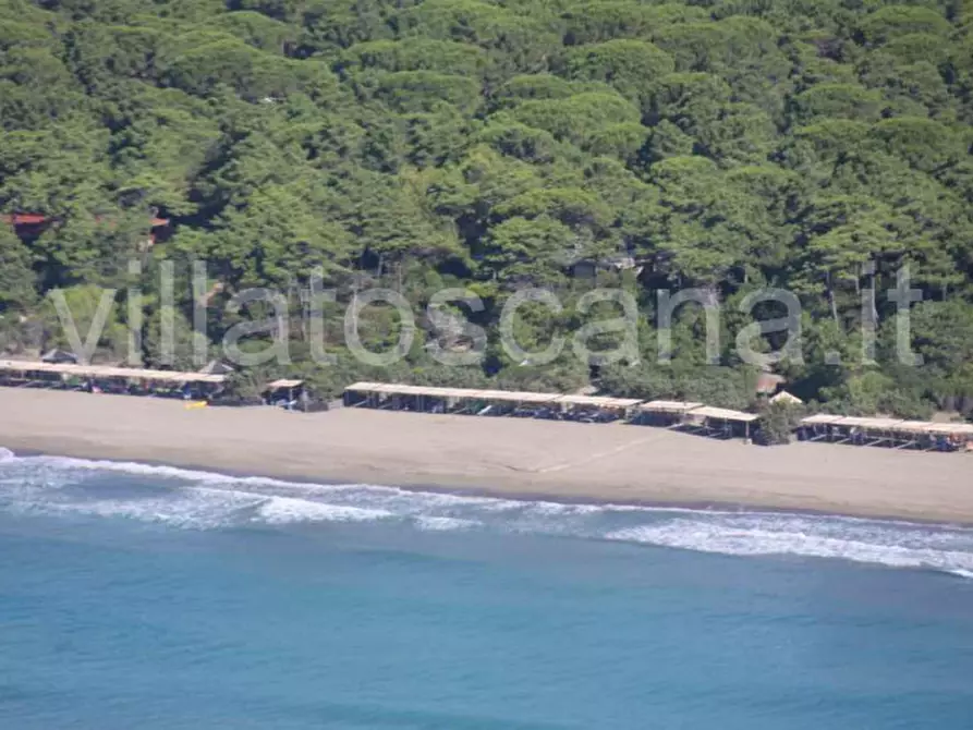 Immagine 80 di Villa in vendita  in Villa in località Pineta di Roccamare a Castiglione Della Pescaia