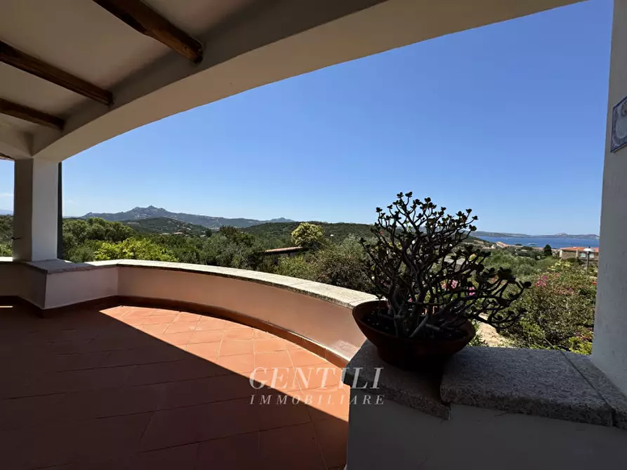 Immagine 15 di Villa in vendita  a Arzachena