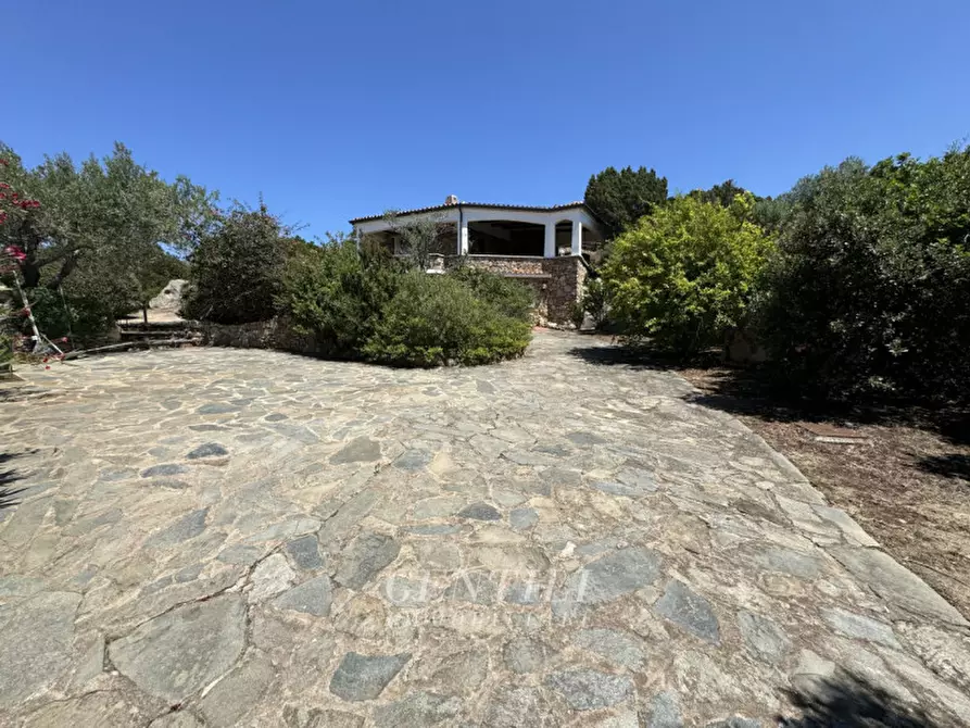 Immagine 21 di Villa in vendita  a Arzachena