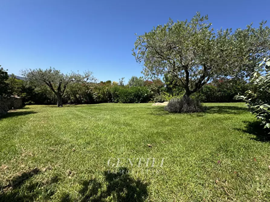 Immagine 22 di Villa in vendita  a Arzachena