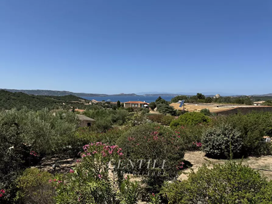 Immagine 23 di Villa in vendita  a Arzachena