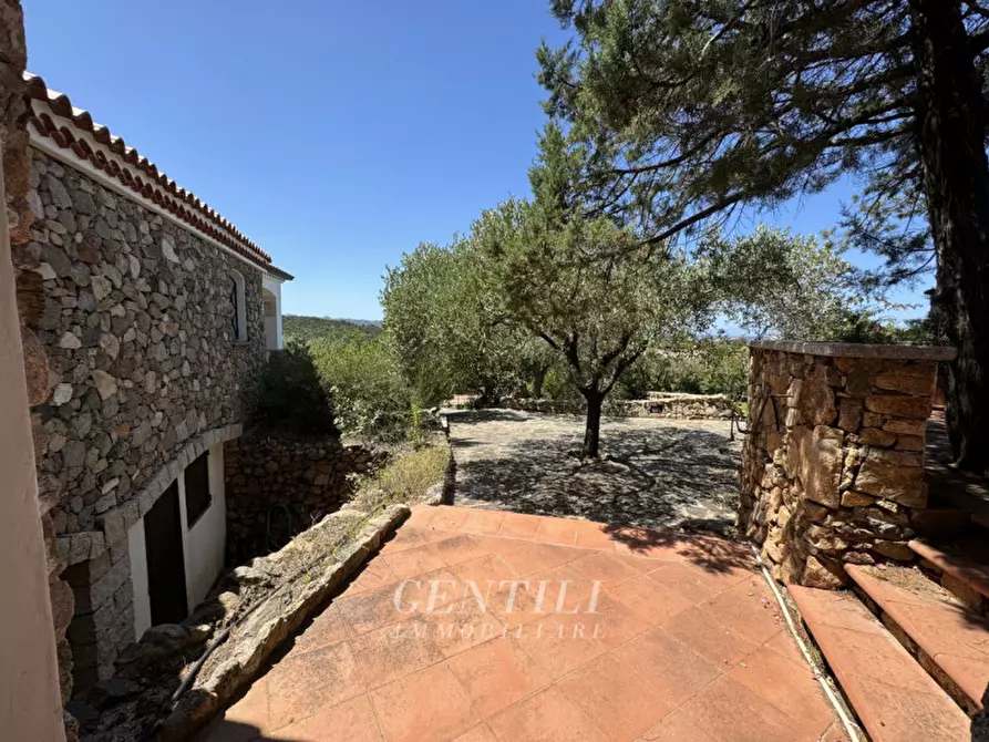 Immagine 24 di Villa in vendita  a Arzachena