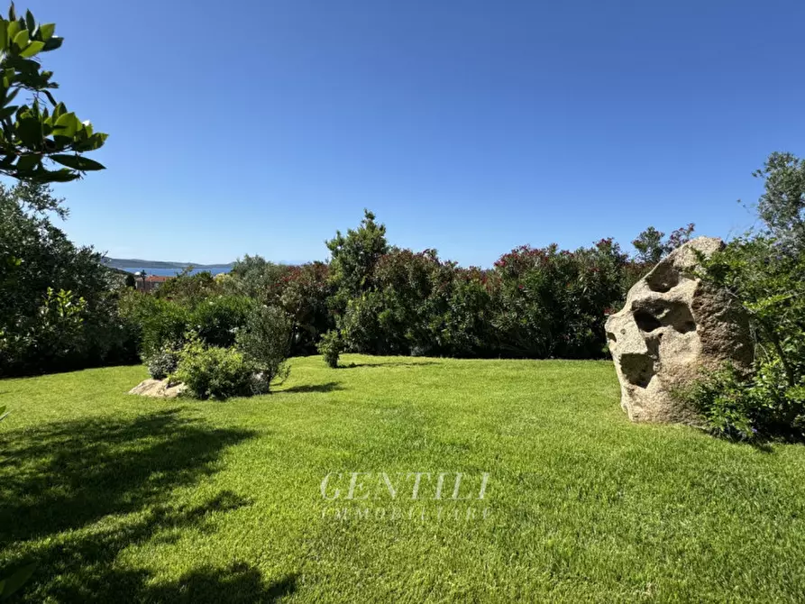 Immagine 30 di Villa in vendita  a Arzachena