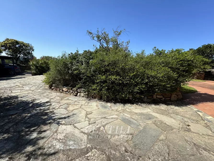 Immagine 35 di Villa in vendita  a Arzachena
