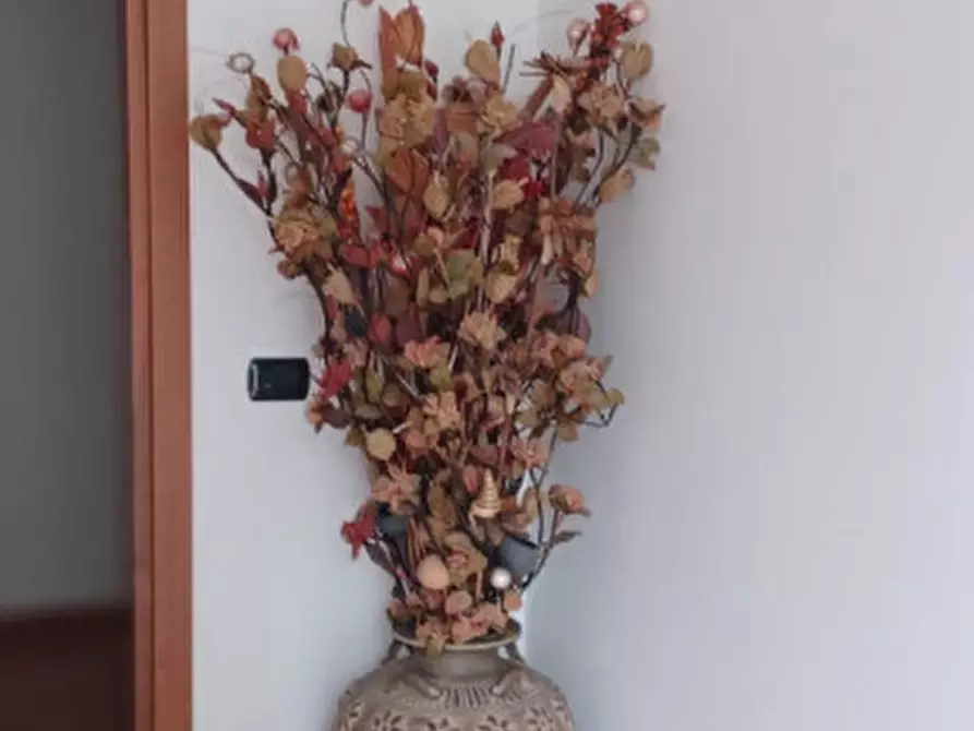 Immagine 6 di Appartamento in vendita  a Badia Polesine