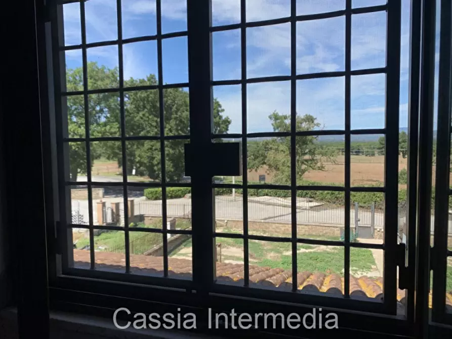 Immagine 20 di Villa in vendita  in Strada Regionale Nepesina 311 a Castel Sant'elia