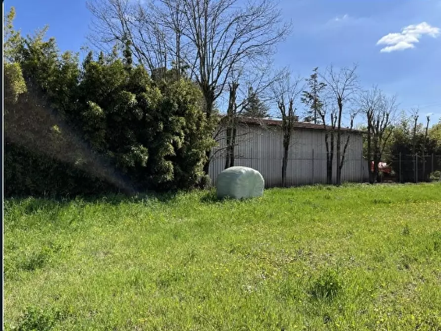 Immagine 2 di Capannone industriale in vendita  in VIA DON C. BELLINI  15 a Pressana