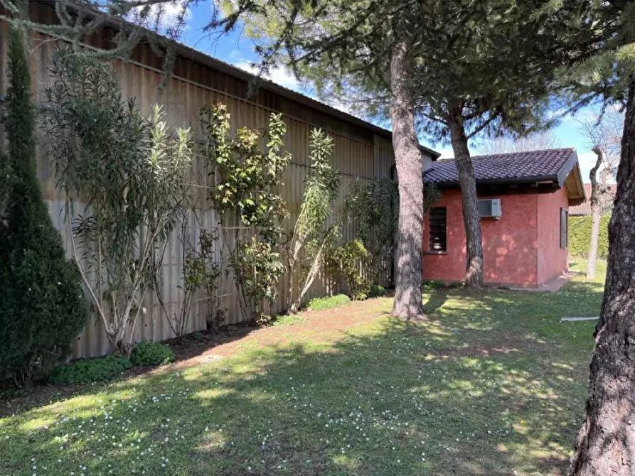 Immagine 3 di Capannone industriale in vendita  in VIA DON C. BELLINI  15 a Pressana