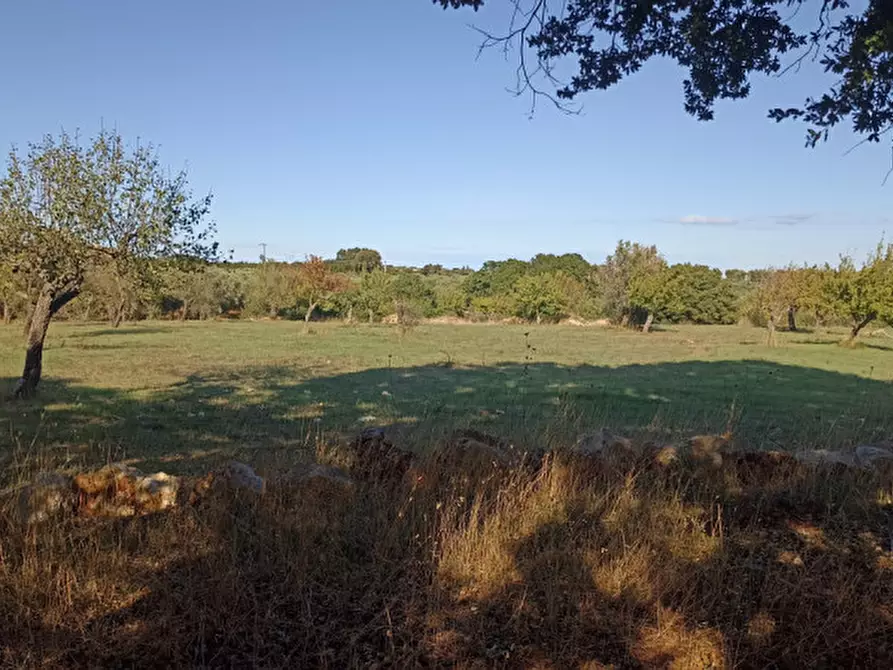 Immagine 9 di Rustico / casale in vendita  a Ostuni