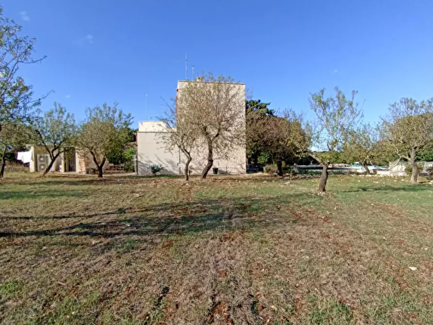 Immagine 11 di Rustico / casale in vendita  a Ostuni