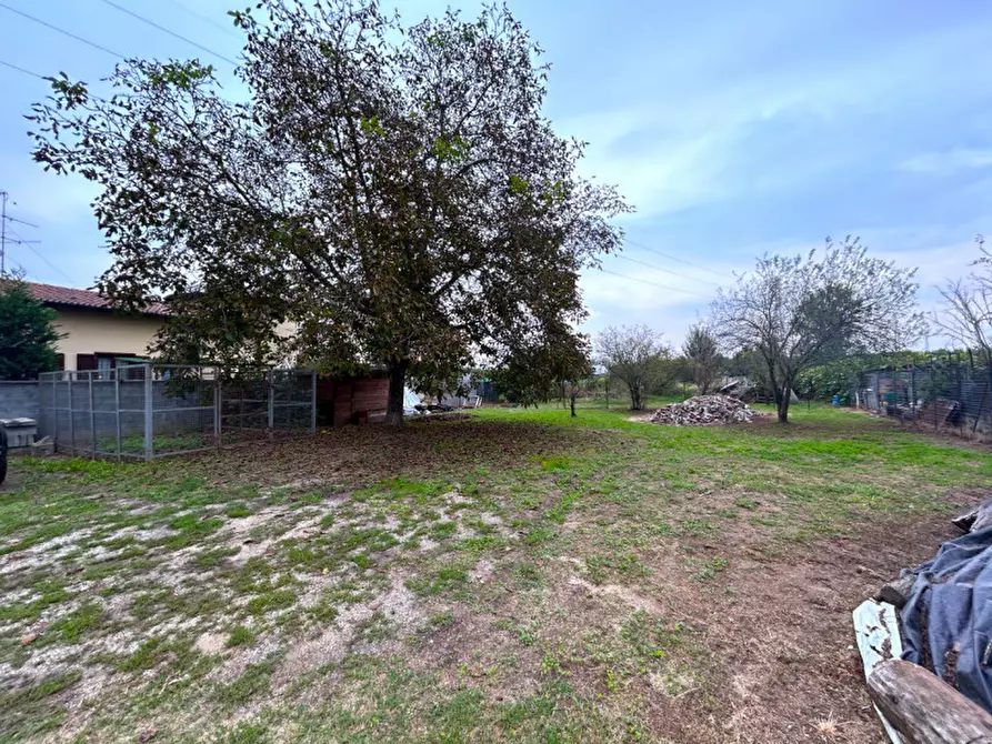 Immagine 5 di Villa in vendita  a Garlasco